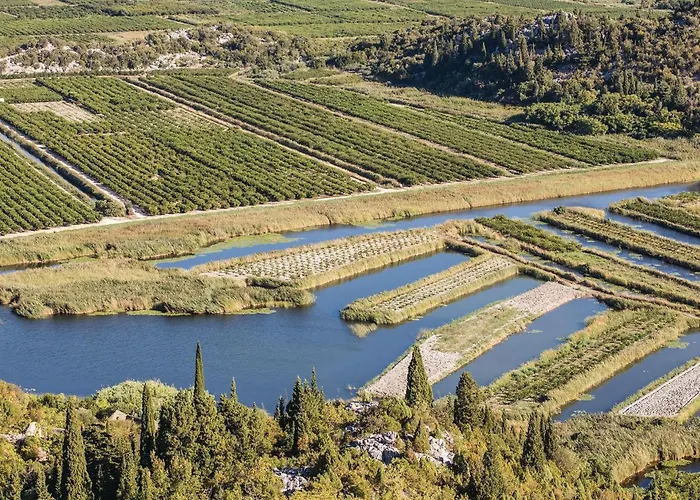 Three-bedroom In Дом отдыха Дуба