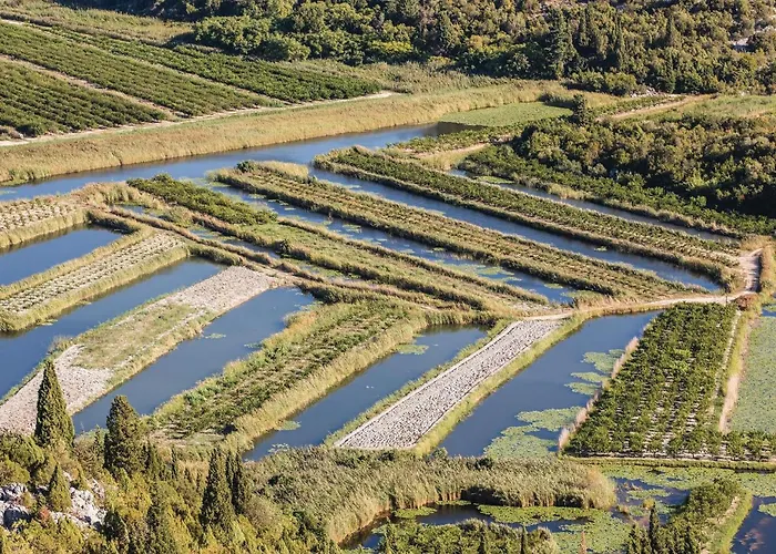 Σπίτι διακοπών Three-bedroom In *